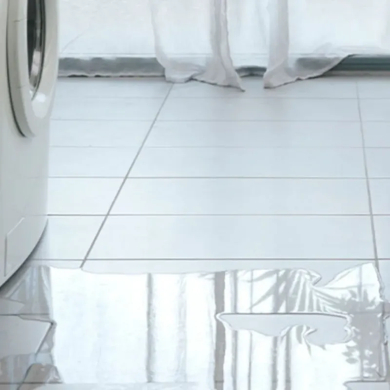 Appliance Leak Cleanup in Cedar Springs, MI