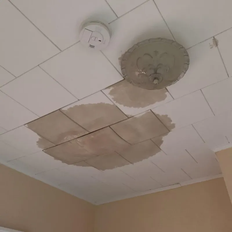Ceiling Water Damage Repair in Cedar Springs, MI