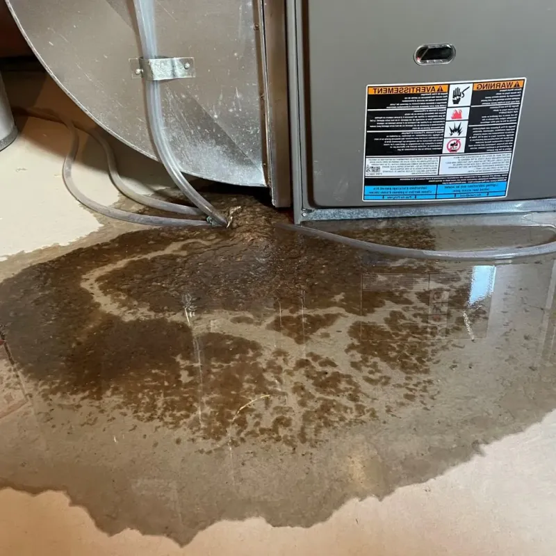 Pipe Burst and Leak Restoration in Cedar Springs, MI