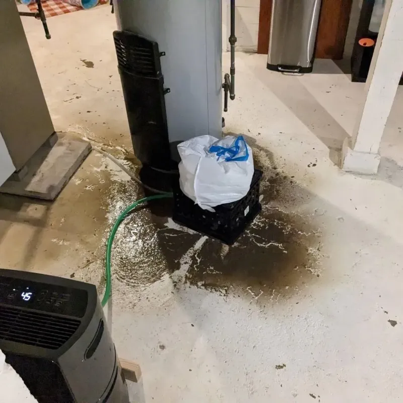 Sewage Backup Cleanup Service in Cedar Springs, MI